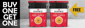 Wise Foods 300x100