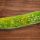 Holes in Homegrown Cucumbers: 11 Potential Causes and Remedies